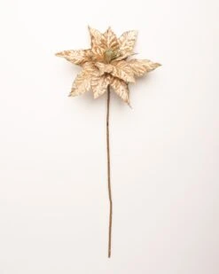 24" Taupe Glitter Edge Poinsettia Set Of 12