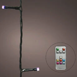 33 FT 100 LED Dancing Warm White & Color Changing Green Wire With Remote Control